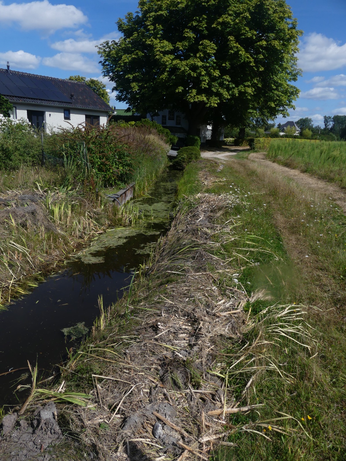Landschap ochtend KNNV en Zuid-Hollands Landschap.