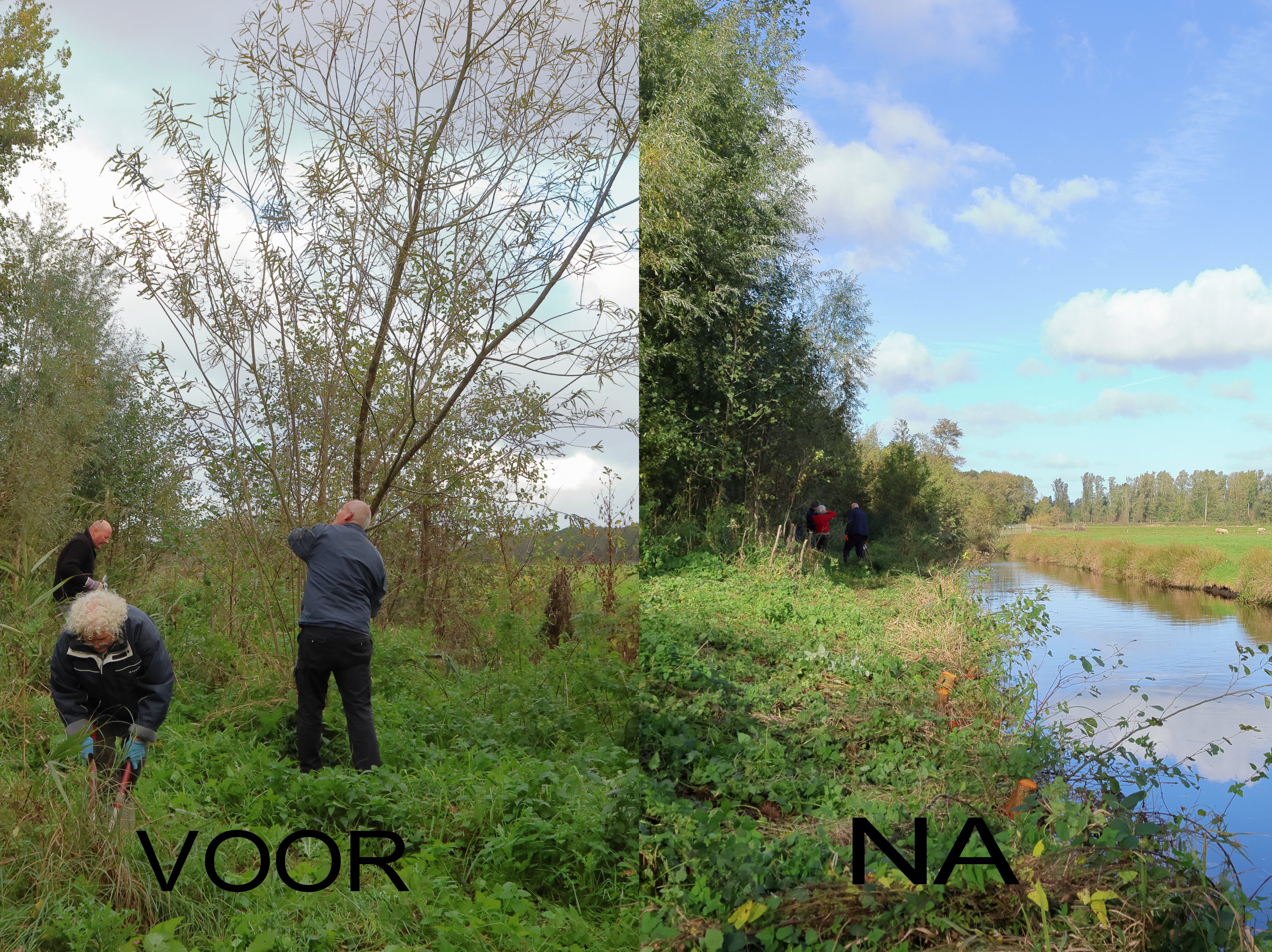 Bijna voltallige bestuur steekt de handen uit mouwen in de week van het Landschap.